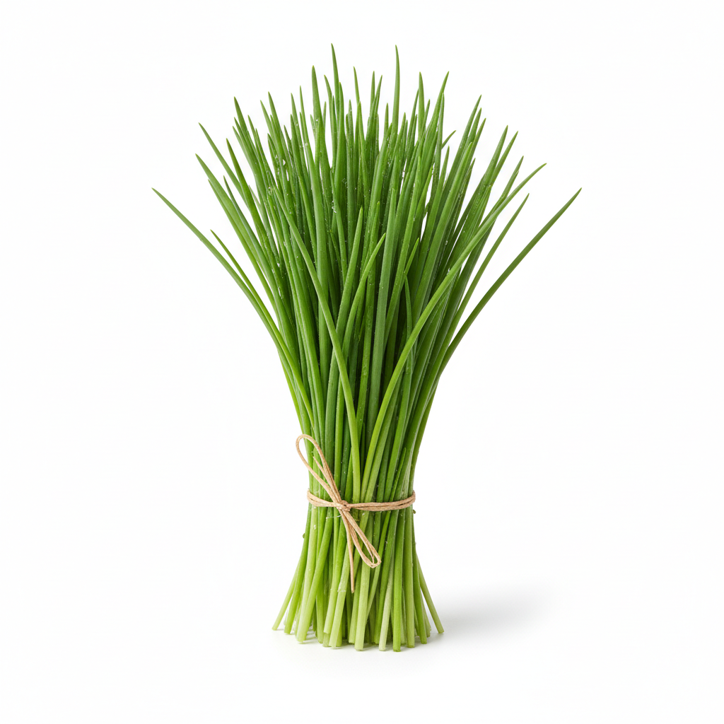 Salad Plug Plant Collection – Lettuce, Rocket, Spinach, Chive & Mustard | Perfect for Pots & Small Gardens